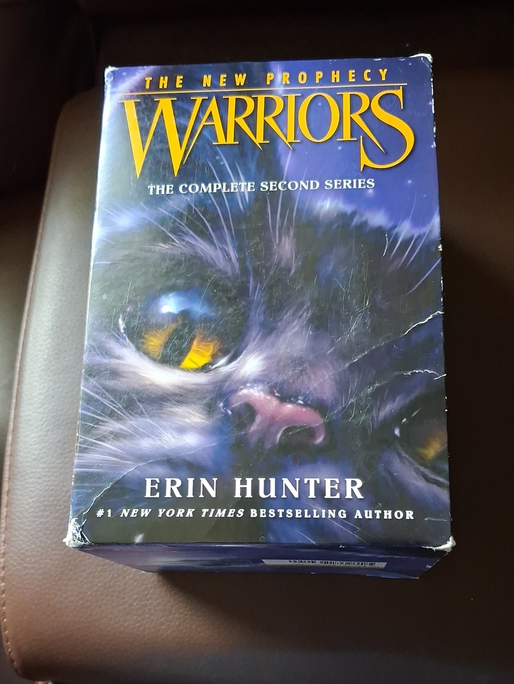 Once We Were Warriors - Purple and Yellow Illustrated Book Cover
